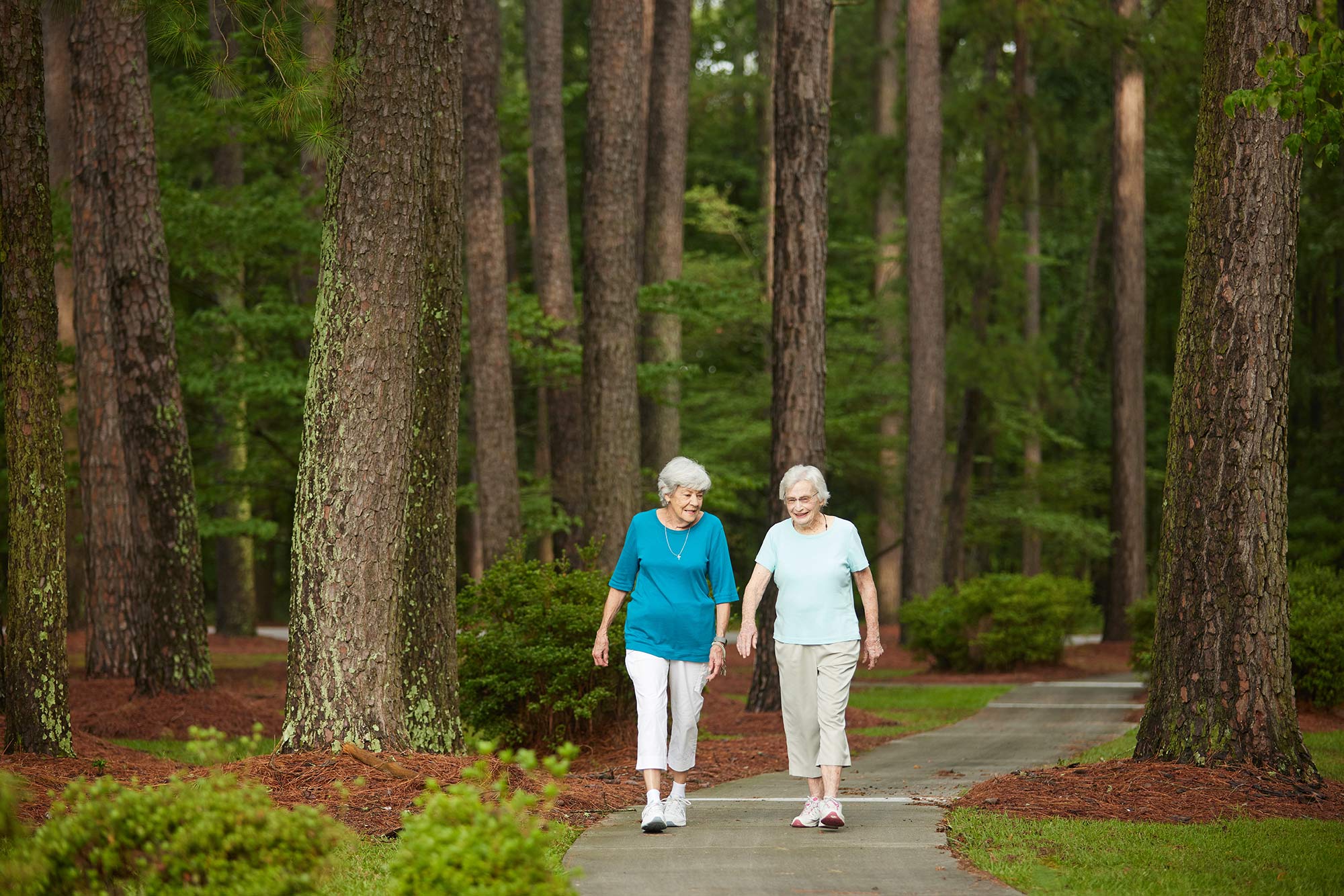 residents walking through forest path